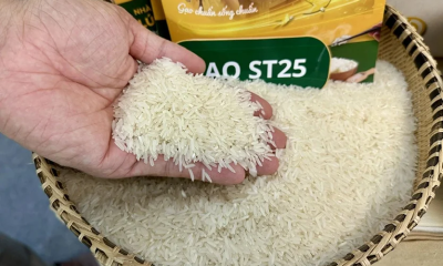 Những loại gạo được ưa chuộng nhất năm 2026