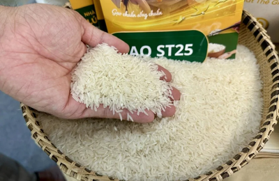 Đại Lý Nông Sản Quốc Khôi