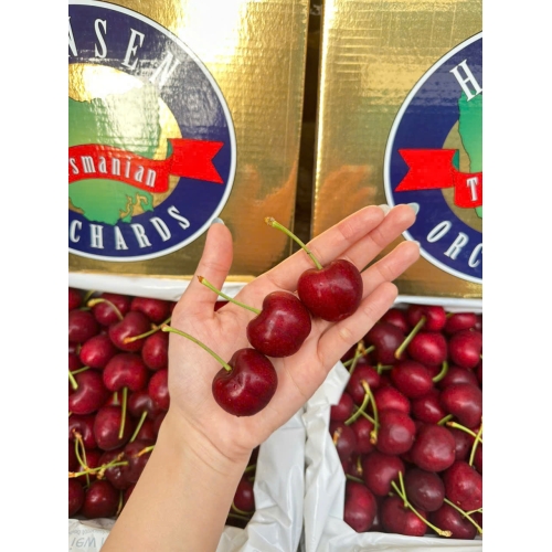 Cherry Hansen Gold - chủng LAPIN - size 32-34 - hộp 2kg