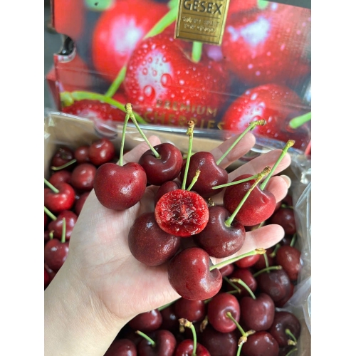Cherry GESEX Chille