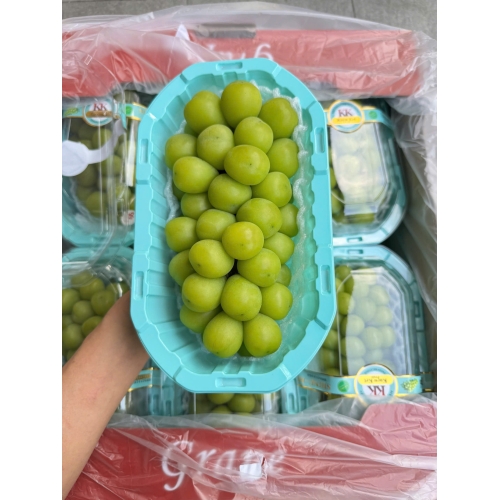 NHO SỮA HỘP 1 Thùng - 6 Hộp ~ 7kg