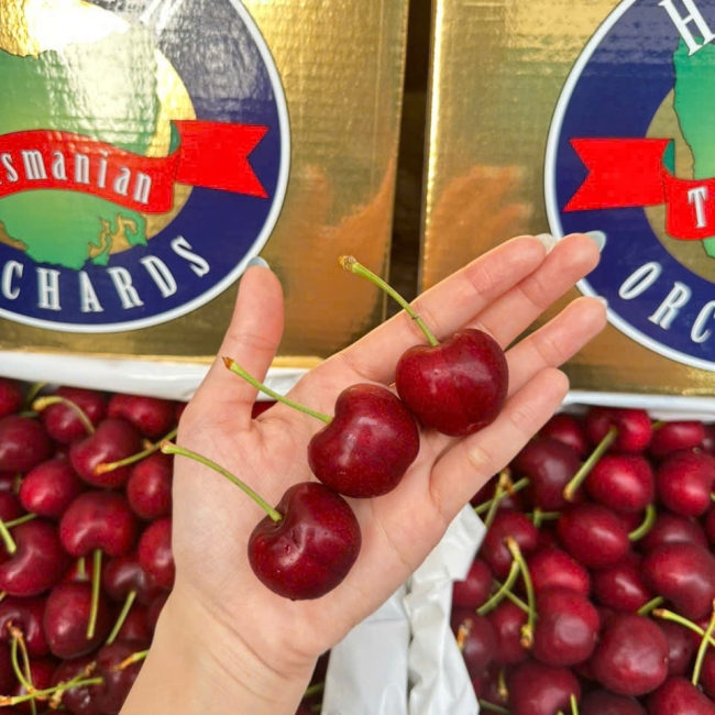 Cherry Hansen Gold - chủng LAPIN - size 32-34 - hộp 2kg