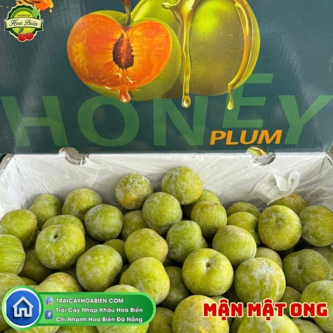 MẬN MẬT ONG
