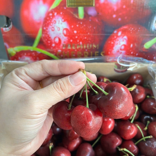 Cherry GESEX Chille