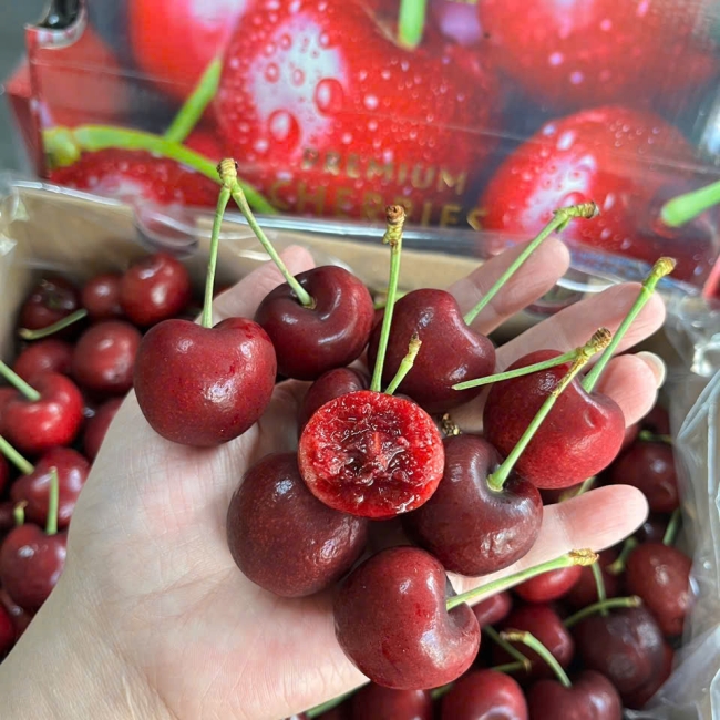 Cherry GESEX Chille