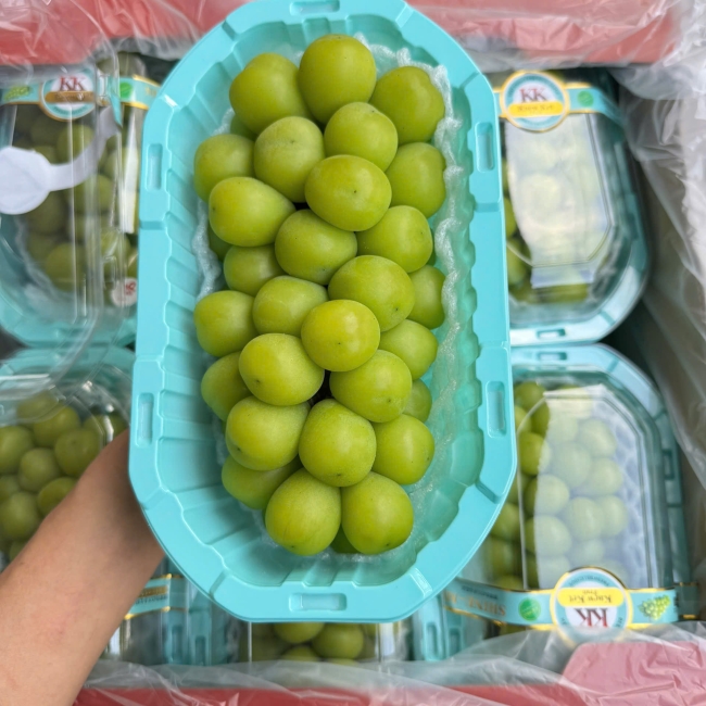 NHO SỮA HỘP 1 Thùng - 6 Hộp ~ 7kg