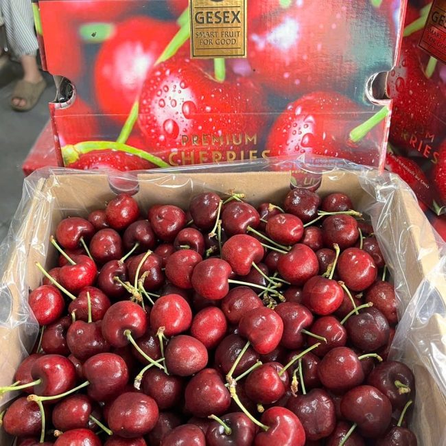 Cherry GESEX Chille