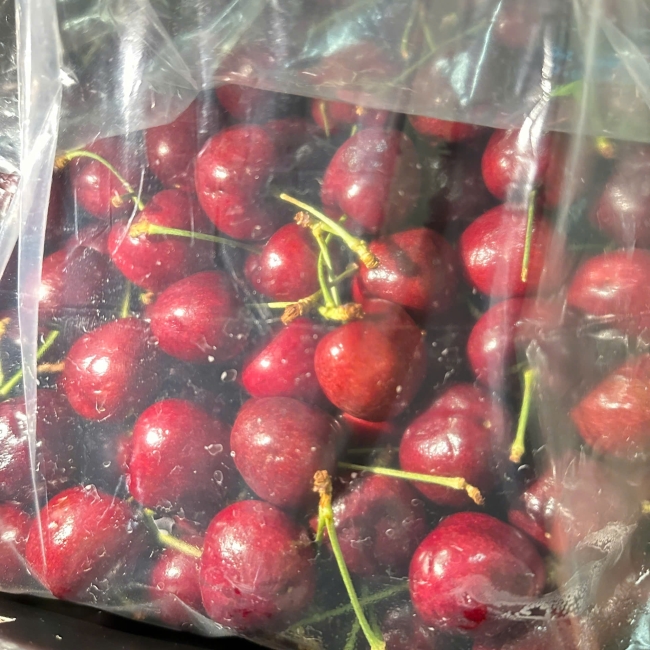 Cherry GESEX Chille