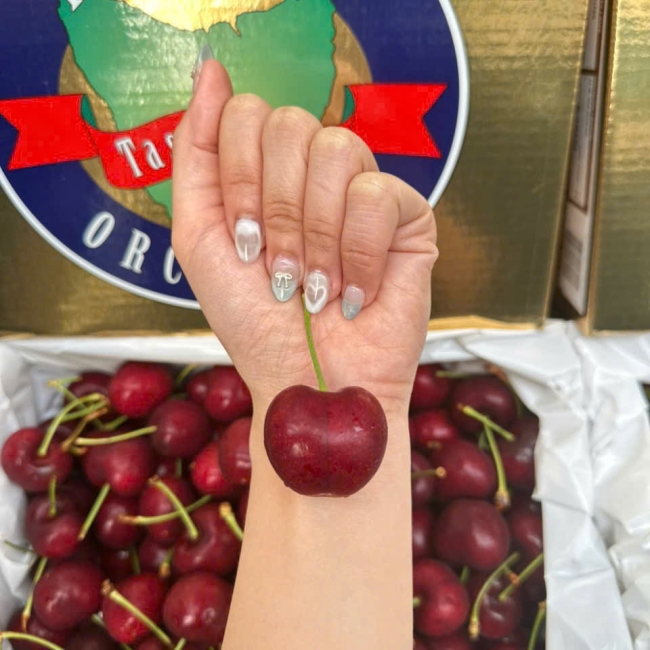 Cherry Hansen Gold - chủng LAPIN - size 32-34 - hộp 2kg