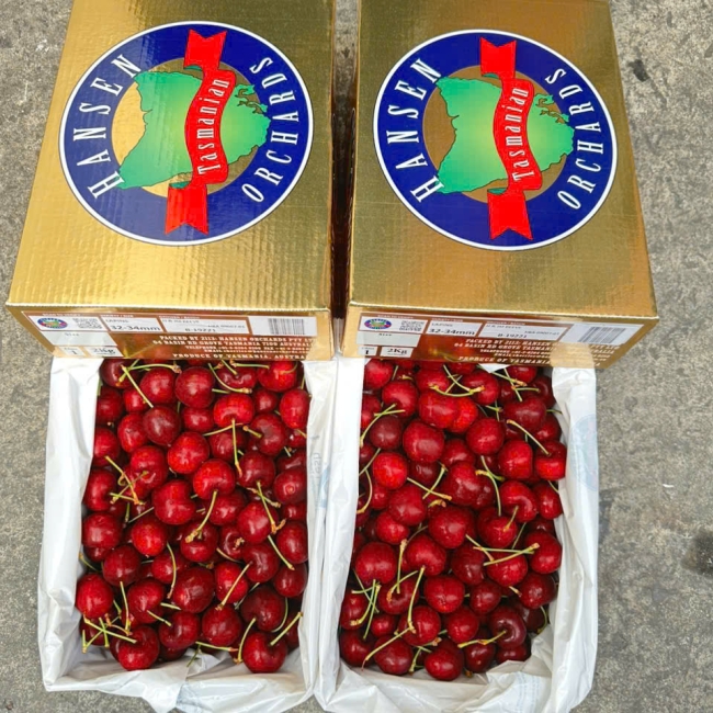 Cherry Hansen Gold - chủng LAPIN - size 32-34 - hộp 2kg