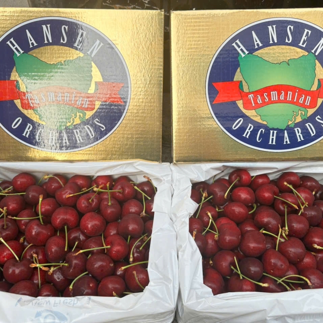 Cherry Hansen Gold - chủng LAPIN - size 32-34 - hộp 2kg