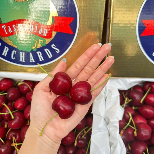 Cherry Hansen Gold - chủng LAPIN - size 32-34 - hộp 2kg
